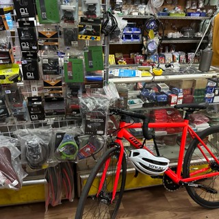 Đinh Thị Việt Trinh