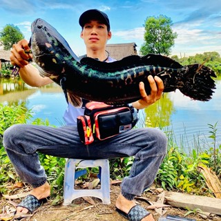 Đồ Câu Vũ Hiếu( chuyên sỉ lẻ )