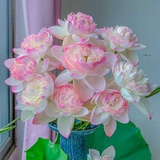 Tiện Ích Bảo Minh