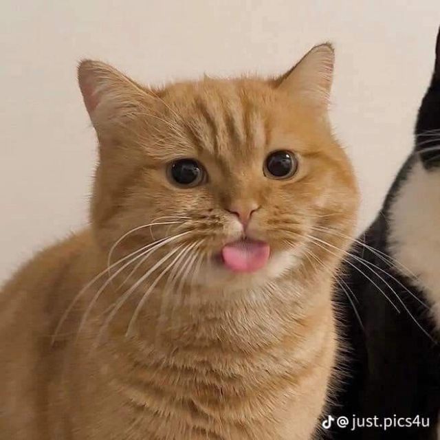 linggiang