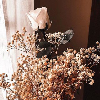 Chuyên 避孕套 Nội Địa China