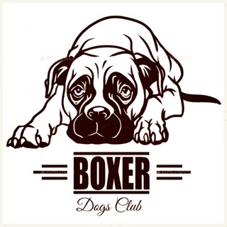 Quần Lót Boxi Boxer