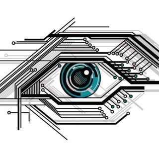 Hạt giống Rau Củ - HN