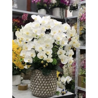 Hoa vải lụa cây cảnh nhựa giả