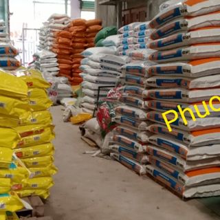 Phuong Thinh Online