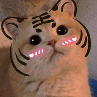 Trạm Nhỏ Tiêu Tiêu