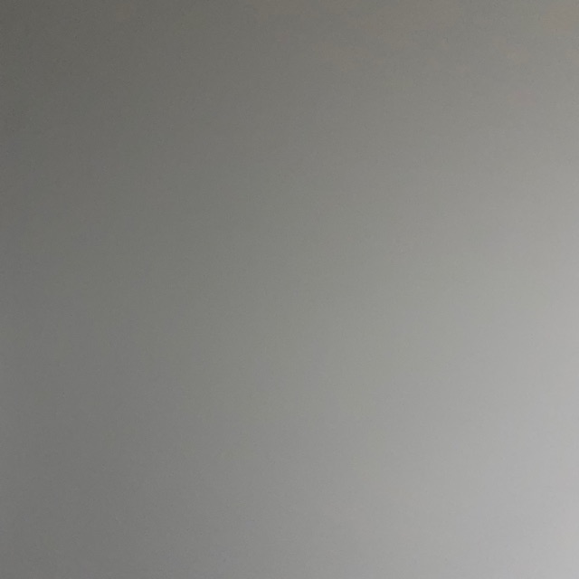 Tạ Lê inox304