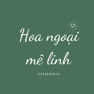 HOA HỒNG MÊ LINH -0359855819