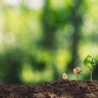 Sỉ lẻ linh kiện máy in phun