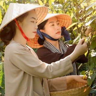 Thuận Thiên ( Shop 2 chị em)