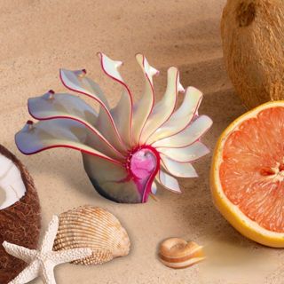 KHO SỈ NÀNG ỐC