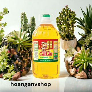 hoanganvshop