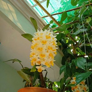 Xưởng sản xuất giá kệ Lê Khôi