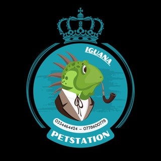 Phụ Kiện Bò Sát - Pet Station