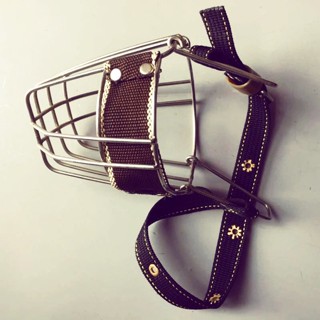 shop đồ tập gym tại nhà