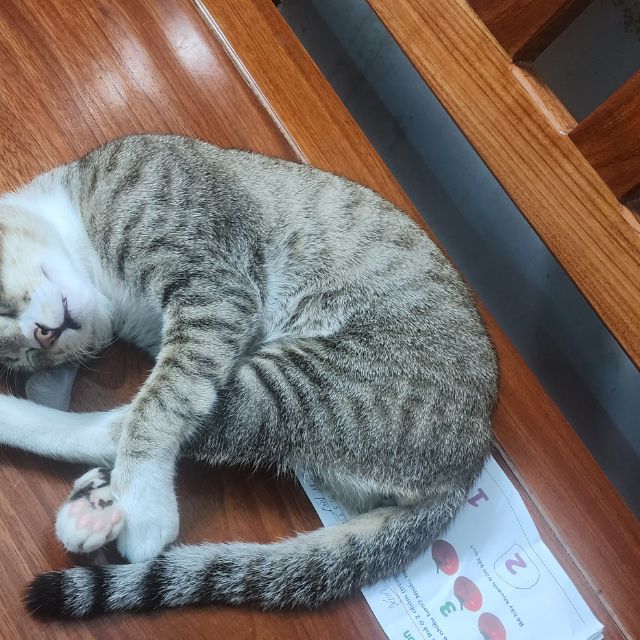 SHOP ĐỒ CHƠI TRẺ EM_MẸ VÀ BÉ