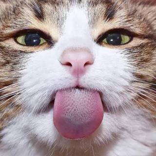 Tạp Hoá Vui Vẻ Bến Tre