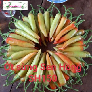 Vật tư nông nghiệp bé hai.