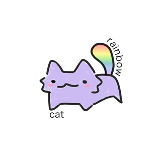 rainbow cat 🐈 🌈