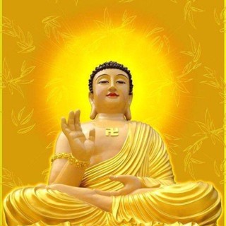 Đức trí pharmacy/ côbahocmon