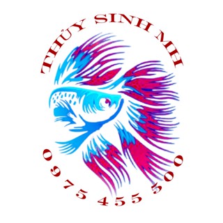 Phụ kiện cá cảnh giá rẻ HN