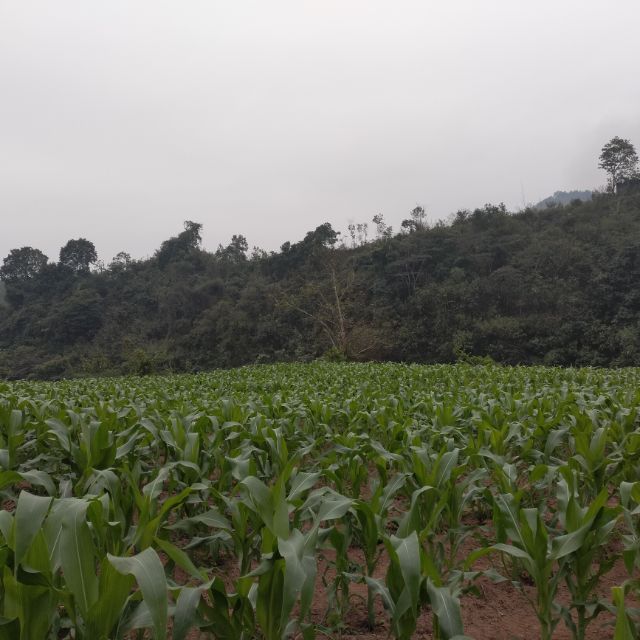 Shop Mẹ Thảo Chi