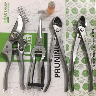 Bonsai-vật tư nông nghiệp