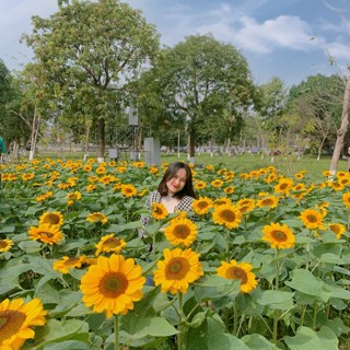 Gian hàng Tuổi Thơ