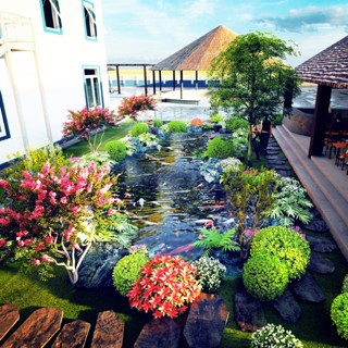 Tổng kho thiết bị hồ cá