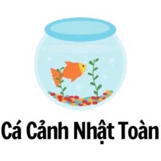 cacanhnhattoan