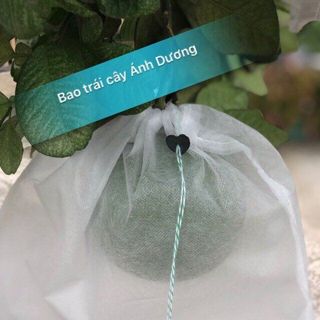 NÔNG  TRẠI VUI VẺ