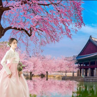 Mỹ Phẩm Hàn Quốc1001.Shop Mới