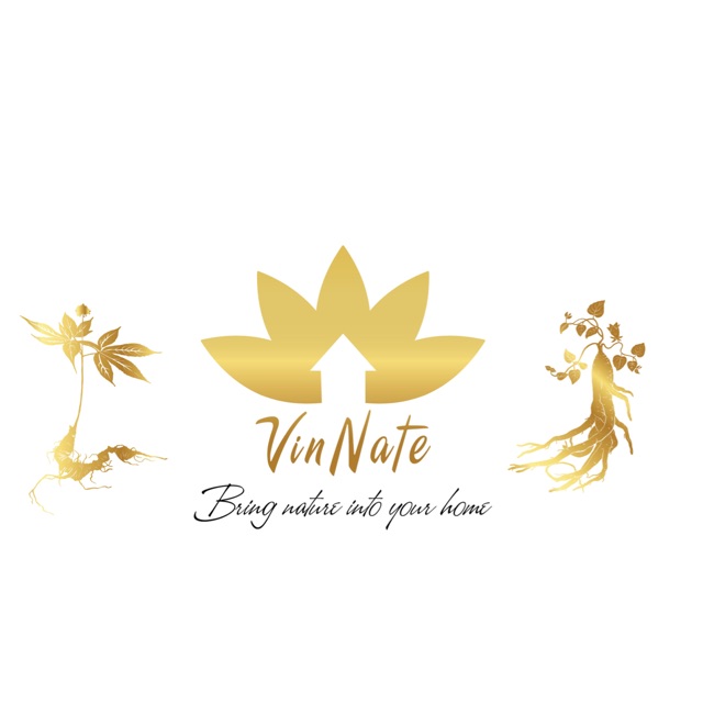 Vinnate Việt Nam