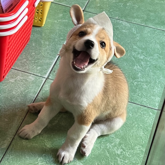 PT Bảo Hân Shop Quy Nhơn