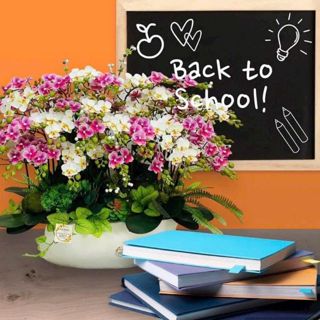 Tongkho hoalua HAIDANG