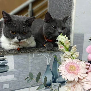 Thuận Phát Mannequins