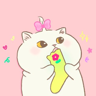 mèo đi vớ ୨ৎ