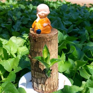 Shop_TieuCanhThietMocLan