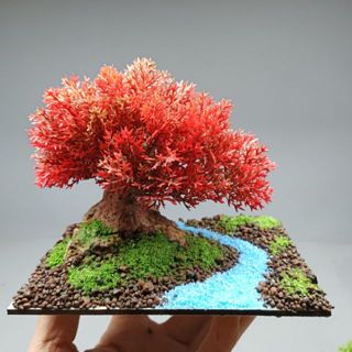 Cá Cảnh Trần Tuấn