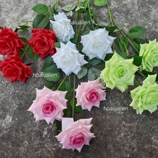 Liên Làm Đẹp Cho Đời