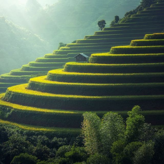 KENDA-BẢO HỘ LAO ĐỘNG