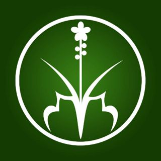 Hương Sạch Tân Nguyên