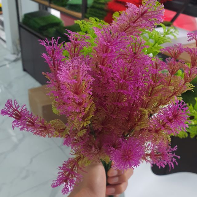 TỔNG KHO HOA CỎ HÀ ĐÔNG