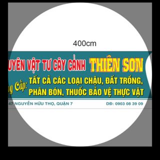 chậu hoa quận 7