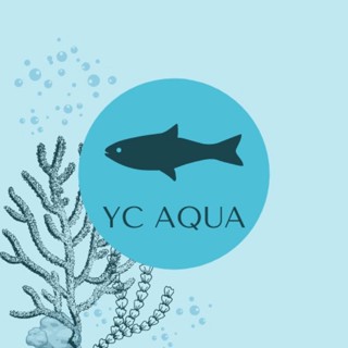 Yến Chi Aquatic