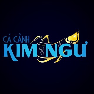 CÁ CẢNH KIM NGƯ