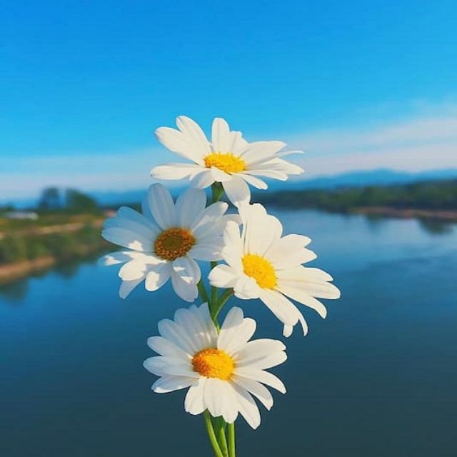 Dược Phẩm Hà Trang