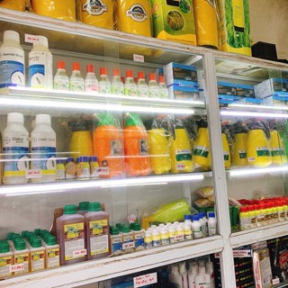 Thuốc mối giá sỉ