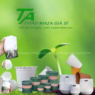 Chậu Nhựa Giá Sỉ