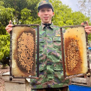 Hợp Tác Xã Mật Ong Việt Hoàn